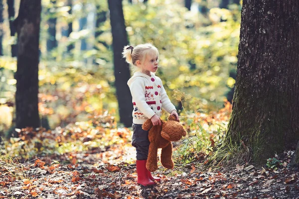 Dítě s plyšovým medvědem v lese pohádky. Dítě s hračkou si venkovní čerstvý vzduch — Stock fotografie
