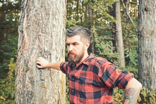 Schöner Kerl beim Wandern im Wald. Brutaler Holzfäller lehnt an Baum. Überleben in der Wildnis — Stockfoto