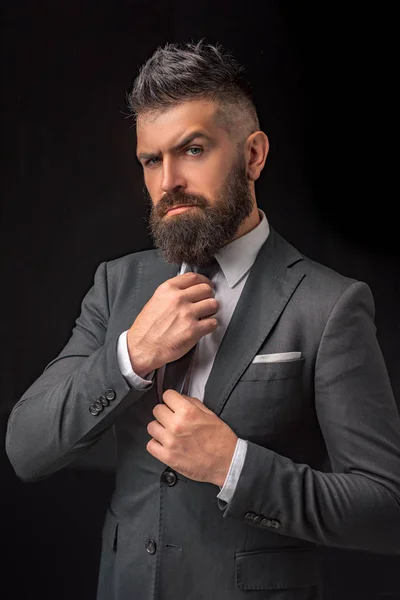 Bow-tie fashion. Bearded man in dark grey suit. Man in classic suit, shirt and tie. Rich man model. Luxury classic suits, vogue.