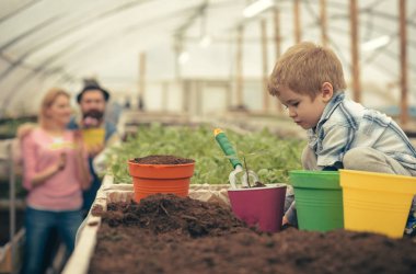 insan ve doğa. insan ve doğa kavramı. insan ile doğa yere çalışır. doğa insan yardıma ihtiyacı var