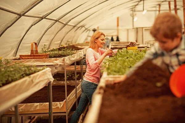 biology. biology lesson in greenhouse. biology teacher woman. woman study biology. think green.