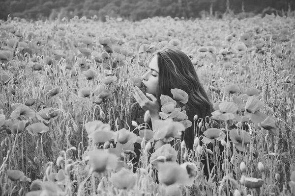 Jolie jeune femme assise parmi les coquelicots — Photo