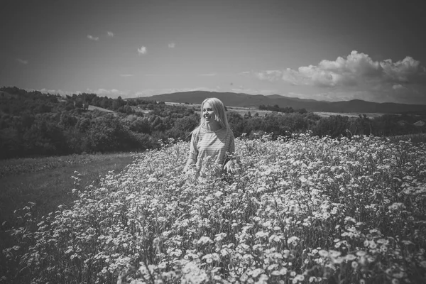 Chamomiles alanında güzel kadın — Stok fotoğraf