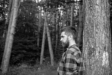 Acımasız adam şık sakal ve bıyık ormanda dolaşıp. Yan görünümü oduncu orman yürüyüş. Çevre, Doğa ve eğlence etkinlik kavramı