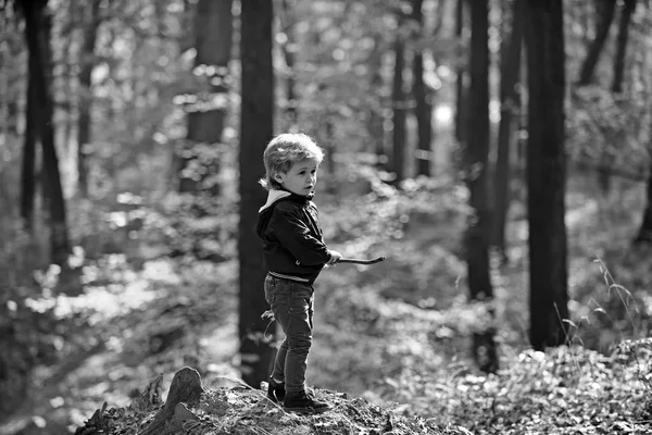 Niño jugar al aire libre en el aire libre. Un niño pequeño juega en el bosque de otoño. Vacaciones de otoño y camping. Principito en los bosques de cuento de hadas. Actividad y descanso activo para niños — Foto de Stock