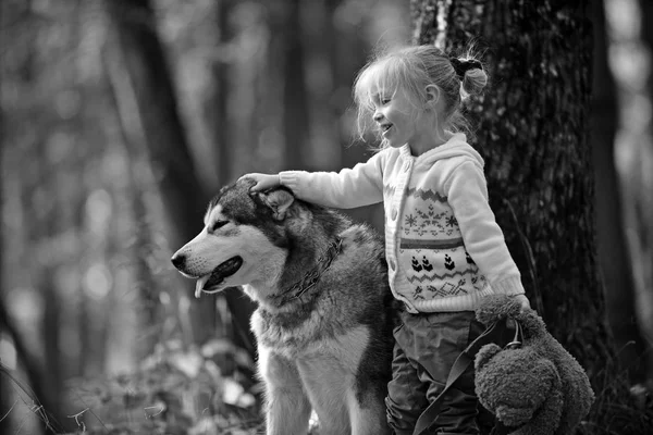 Happy little girl playing with big dog in garden — Stock Photo, Image