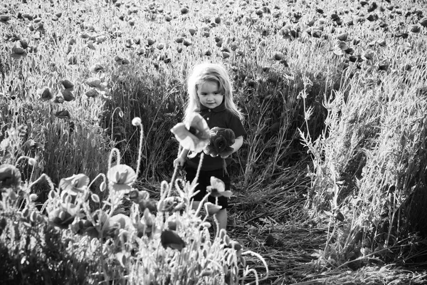 Niño pequeño o niño en el campo de semillas de amapola —  Fotos de Stock