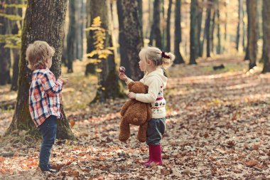 Mantar sonbahar ormandaki hasat. Hasat sezonu kavramı