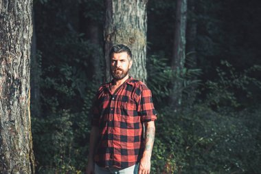 Önünde ağaçlar ayakta acımasız sakallı adam. Vahşi doğada akşamları dolaşıp oduncu konsantre