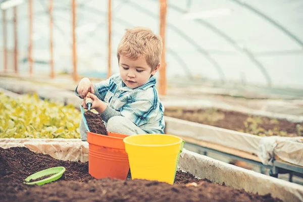 Upptagen kid fylla orange och gula krukor med jord. Blond pojke leker med spade i växthus — Stockfoto