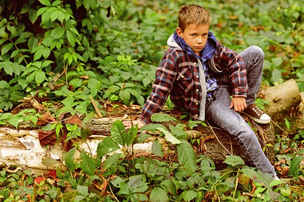 Nyugodt és békés. Kisfiú pihenni ül a fán. Kisfiú woods pihenhetnek. Pihenjen, az élet szép — Stock Fotó