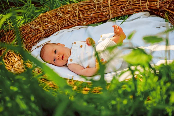 Pediatría y neonatología. Cuidado del bebé recién nacido. Cuidado de la salud del recién nacido. Departamento de Neonatología y Pediatría. Dedicado a la salud de todos los niños. La infancia a través de la adolescencia —  Fotos de Stock