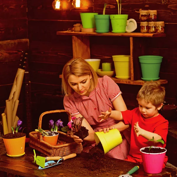 Kavram süreçte. Anne ve oğlu süreçte yeni tencereye çiçek. Anne ve çocuk houseplant siyah toprak veya toprak süreçte. Süreçte hazırlığı