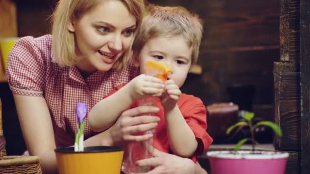 Plant flowers. Woman with a boy plant flowers. Family plant flowers. Growing plants and sprouts germination. Spring time. Woman and boy water sprouts that grow in a pot. Boy helps mom. — Stock Video