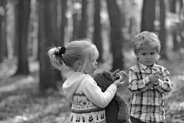 Crianças reunidas em caminhada na floresta em busca de cogumelos — Fotografia de Stock