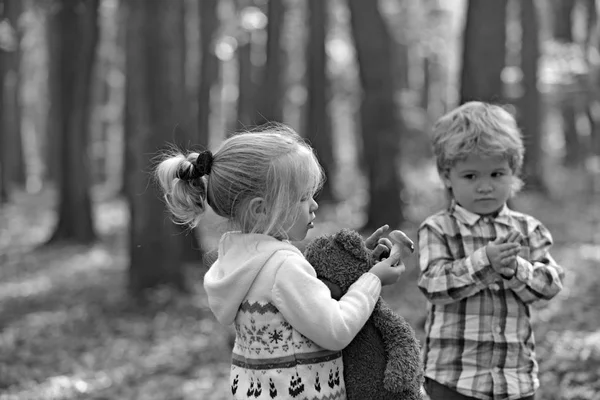 Enfants rassemblés en randonnée en forêt à la recherche de champignons — Photo