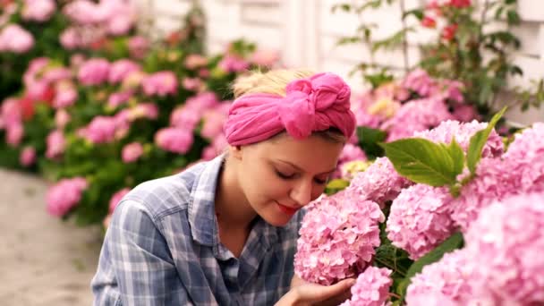 Fiori del cosmo nel giardino fiorito con tramonto. Bellissimi fiori da giardino. Una donna si prende cura dei fiori rosa in una casa di campagna. Donna e fiori primaverili . — Video Stock