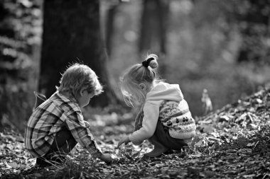 Kids hareket ve aktif dinlenme. Çocuk meşe palamutları meşe ağaçlarının seç. Kız ve erkek kardeşim sonbahar ormanda kamp. Küçük oğlan ve kız arkadaşlar üzerinde taze hava iyi eğlenceler. Çocukluk ve çocuk dostluk