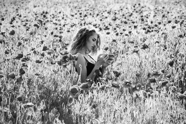 Дівчина в полі маку робить селфі фотографію з телефоном — стокове фото