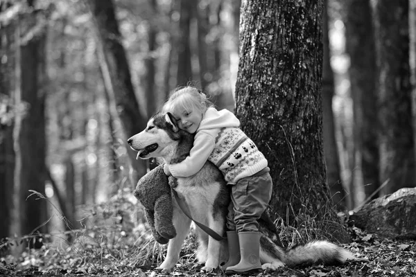 Schattige kleine meisje knuffelen husky hond in park. Mooi zonnig weer, fel zonlicht en leuke modellen — Stockfoto