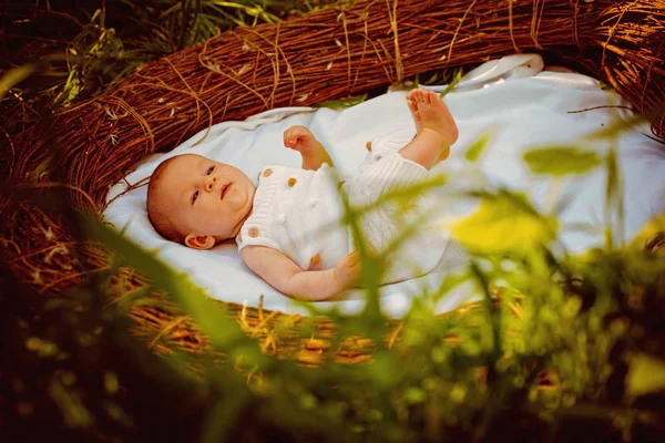 Nyfödd pojke eller flicka i babysäng. Nyfött barn vård och barnens hälsa. Nyfött barn hälsa och utveckling. Internationella barnens dag. Hälso-och sjukvård. Vi behandlar barnen bättre — Stockfoto