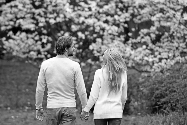 Sinnliches Paar hält Händchen im Frühlingspark, Rückansicht — Stockfoto