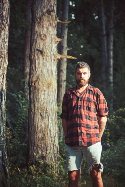 Açık arka plan üzerinde doğa ile ormanda tek başına duran bir genç adam. Seyahat yaşam tarzı ve yaşam kavramı