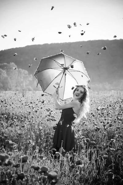Mujer en el campo de semillas de amapola con paraguas —  Fotos de Stock