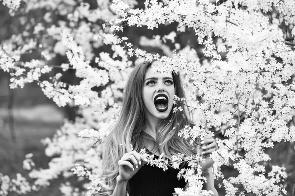 Pretty girl in blossom — Stock Photo, Image