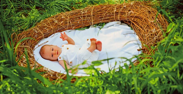 Bambino appena nato in culla. Cura pediatrica del bambino. Neonata o maschio. Nato per interessarsi. Alzati per un bambino — Foto Stock