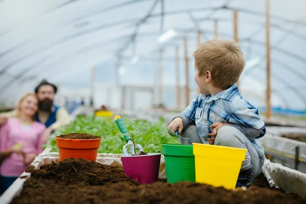 DIY trädgård. hem diy trädgård med barn och föräldrar. DIY trädgård hobby. DIY trädgård med lycklig familj. naturen behöver din vård. — Stockfoto