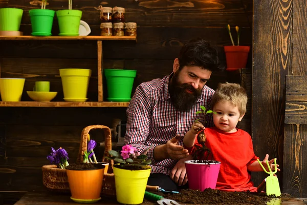 髭の男と小さな男の子は、自然を愛する。春の花を持つ幸せな庭師。家族の日。温室効果。父と息子。花のケアに水をまきます。土壌肥料。花は、私の介護を必要 — ストック写真