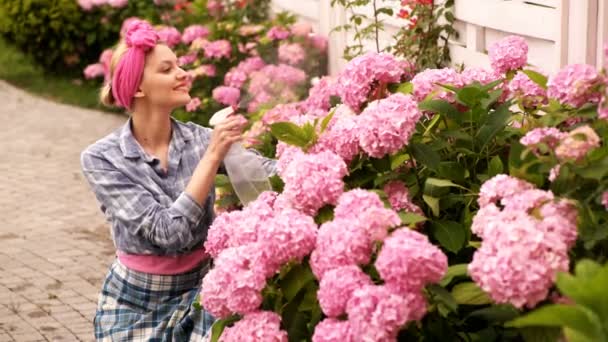 Una hermosa florista rocía flores. Mujer joven feliz rociando fertilizante líquido en la flor de la planta. Flor-chica rociando agua con flores rosadas. Lila flores ramo fondo . — Vídeos de Stock