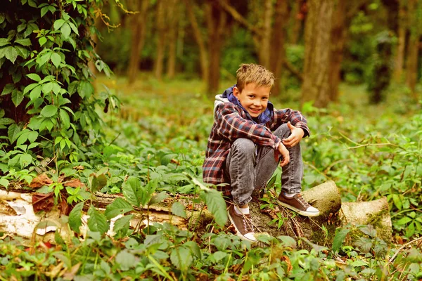 Поезжай со мной в поход. Маленький ребенок наслаждается походом. Мальчик сидит на дереве. Очаровательный ребенок отдыхает в лесу. Мои хобби - походы и кемпинги — стоковое фото
