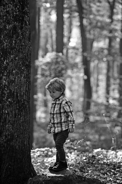 Pequeno príncipe nos bosques de contos de fadas. Crianças brincam ao ar livre. Férias de outono e camping. Atividade e descanso ativo para criança. Menino pequeno jogar na floresta de outono — Fotografia de Stock