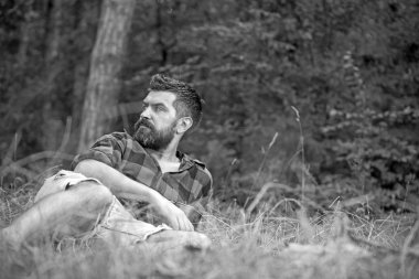 Park veya orman çim yatan adam. Ormanda kamp. Sakallı adam tarafına bakarak blues gözlü. Yaz eğlence etkinlik kavramı