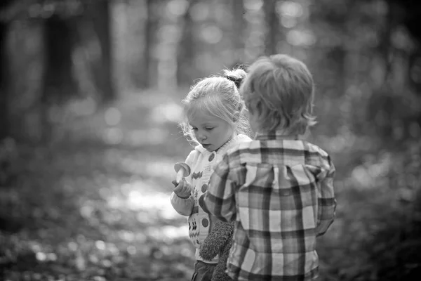 Výchovu a raný vývoj. Děti sbírat houby v podzimním lese. Malý chlapec a dívka přátelé kempování v lese. Ekologické a zdravé potraviny. Dětství a dítě přátelství — Stock fotografie