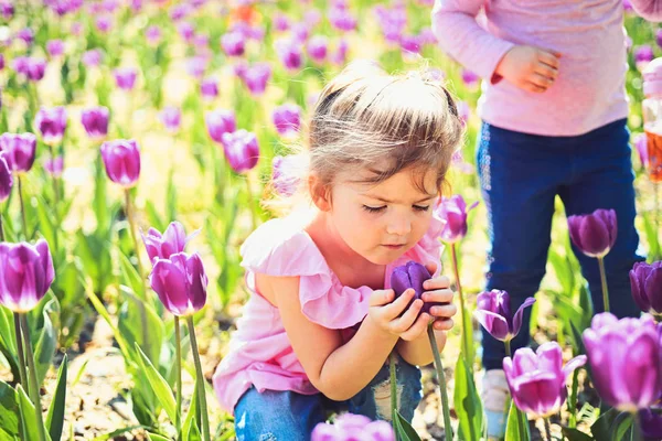 Arc- és bőrápoló. allergia-virágok. Nyári lány divat. Boldog gyermekkor. Napsütéses tavaszi kislány. Kis gyerek. Természetes szépség. Gyermeknap. Tavaszi tulipán. Időjárás-előrejelzés. bocsánat — Stock Fotó