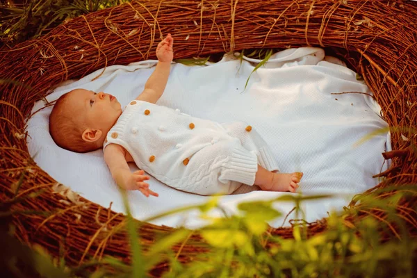 Cura dei bambini appena nati. Attività motoria del neonato. Attività all'aperto del neonato. Allegria e salute. Stimolare lo spirito di allegria. Ci prendiamo cura dei bambini — Foto Stock