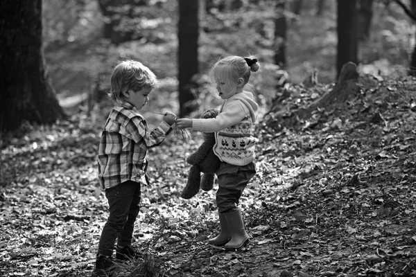 Los niños cosechan hierba en bosque de otoño. Hermano y hermana juegan al aire libre. Los niños pequeños y las niñas se divierten en el bosque. La infancia y la amistad infantil. Actividad infantil y descanso activo —  Fotos de Stock