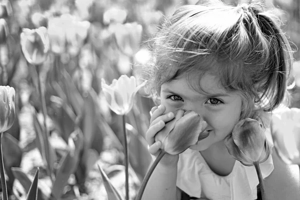 Cheiro impossível. Cuidados com a pele. alergia às flores. Moda menina de verão. Feliz infância. Menina na primavera ensolarada. Criança pequena. Beleza natural. Dia das crianças. Tulipas da Primavera. previsão meteorológica — Fotografia de Stock