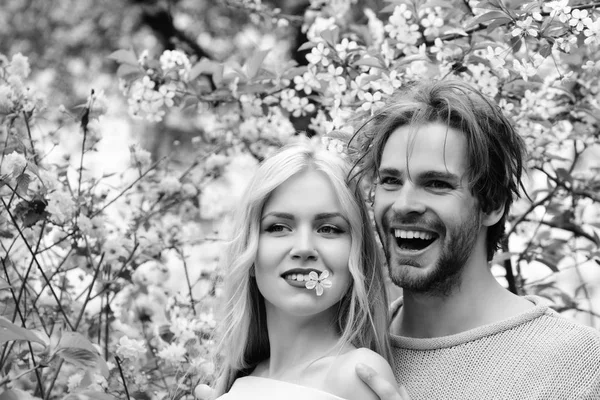 Ευτυχισμένο ζευγάρι στην αγάπη σε κερασιές την άνοιξη λουλούδια — Φωτογραφία Αρχείου