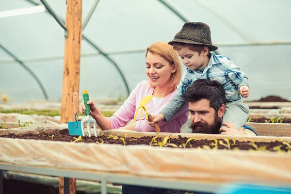 Birlikte serada çalışan aile. Baba oğul kartal onun omuzlarında annem bitki tohumları gösterilmiştir tutarken şık sakallı. Anne ile birlikte bahçe çatal kullanarak fedora şapkalı çocuk — Stok fotoğraf