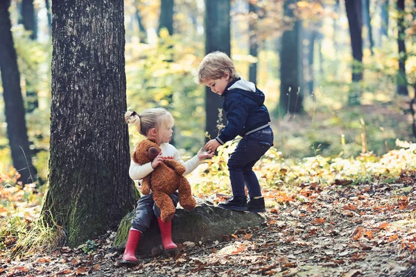 Маленький хлопчик і дівчинка друзі ходять у лісі. Діти грають у осінньому лісі. Дитинство і дружба дітей, любов і довіра. Брат і сестра розважаються на свіжому повітрі. Діти активний відпочинок — стокове фото