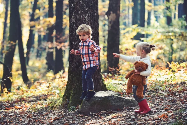 Хлопчик і дівчинка в лісі. Хлопчик і дівчинка грають в ігри в осінньому лісі — стокове фото