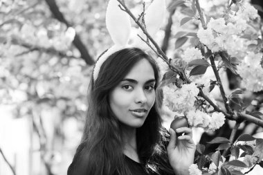 Bahar Paskalya tatili, kız tavşan kulaklı, sakura