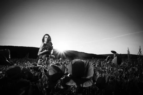 Donna nel campo dei semi di papavero — Foto Stock