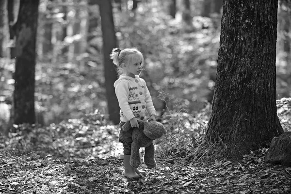 Chica con juguete en el bosque de otoño. Chica con oso de peluche en bosques de cuento de hadas — Foto de Stock