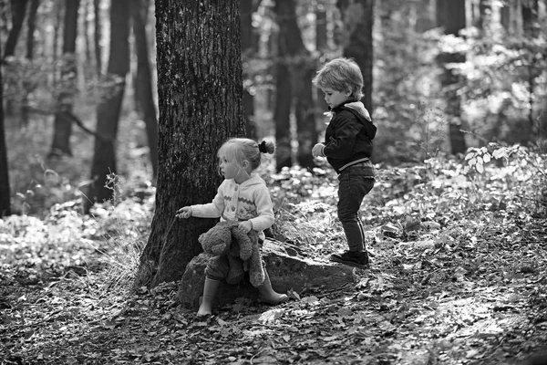 Los niños juegan en el bosque de otoño. Niños y niñas acampando en el bosque. Hermano y hermana se divierten al aire libre. Amistad infantil e infantil, amor y confianza. Actividad infantil y descanso activo —  Fotos de Stock