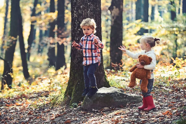Діти грають на свіжому повітрі в осінньому лісі. Діти активний відпочинок — стокове фото